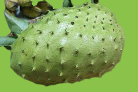 health benefits of soursop fruits