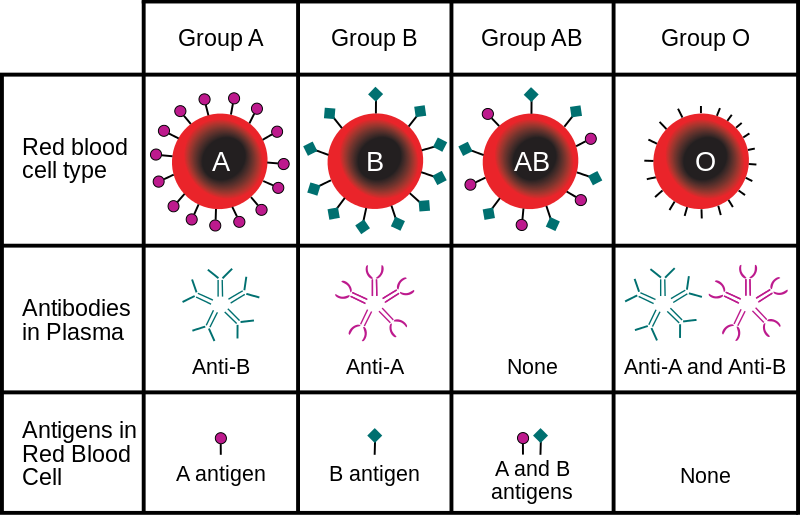 blood group and genotype compatible
