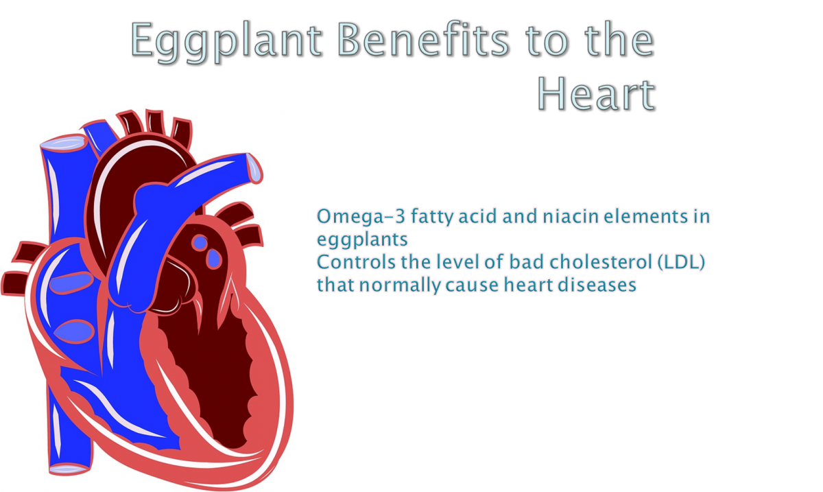 health benefits of garden egg/eggplant benefits to the heart