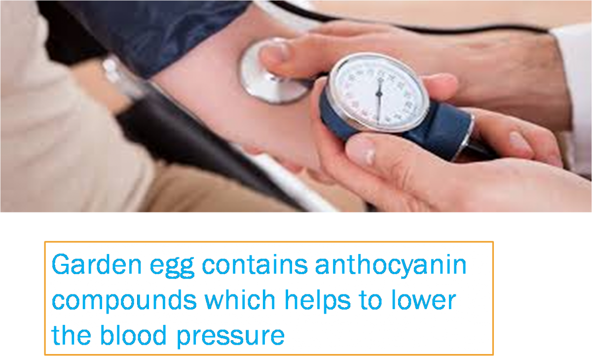 health benefits of eggplant/garden egg and hypertension
